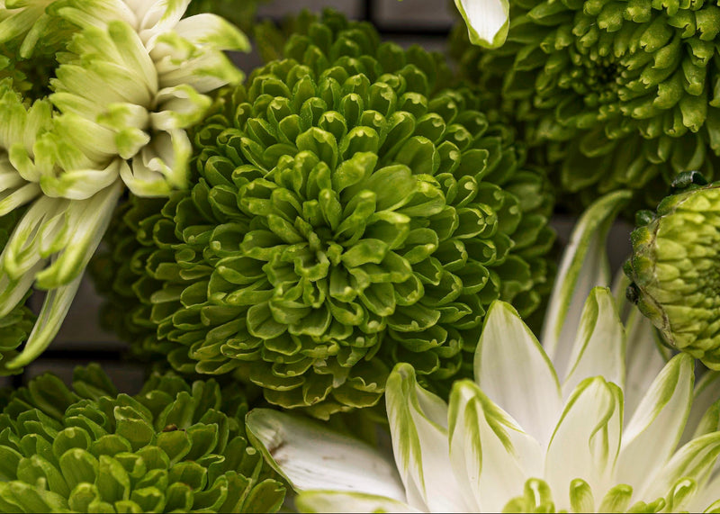 Florais